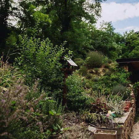 Belsooers - Haz Lelekkel בית נופש