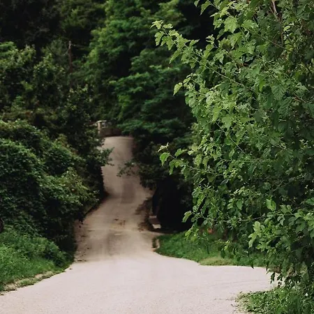 Belsooers - Haz Lelekkel