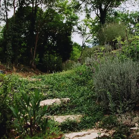 Belsooers - Haz Lelekkel Felsőörs