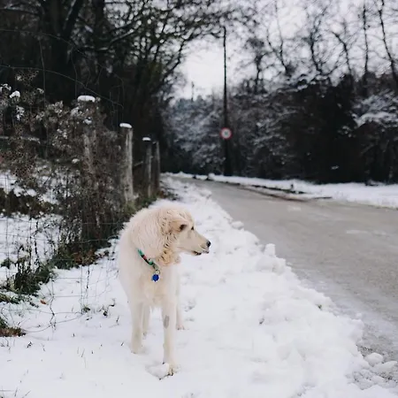 בית נופש Belsooers - Haz Lelekkel Felsőörs