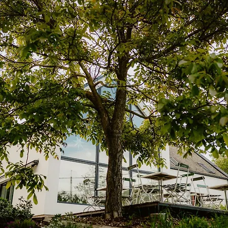 Tatil Evi Belsooers - Haz Lelekkel Felsőörs