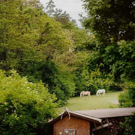 Belsooers - Haz Lelekkel Tatil Evi Felsőörs