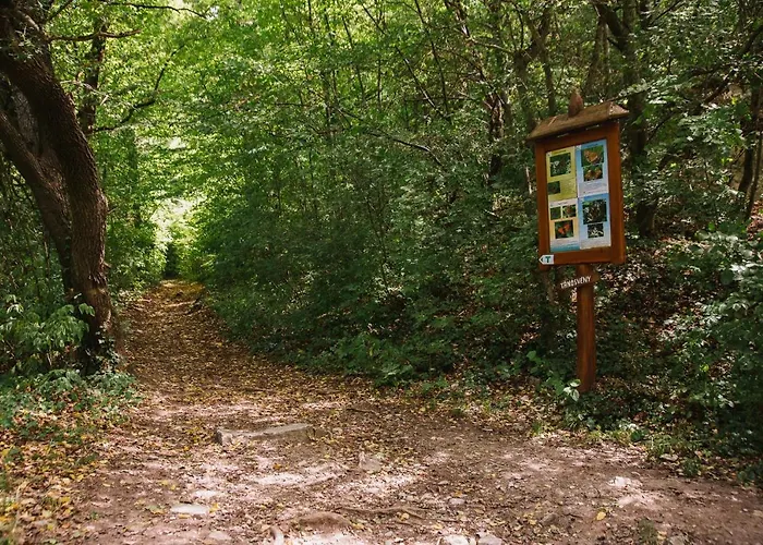 Belsooers - Haz Lelekkel Tatil Evi *