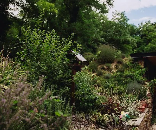 Belsooers - Haz Lelekkel Tatil Evi