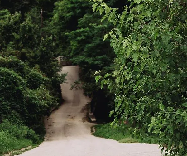 Belsooers - Haz Lelekkel