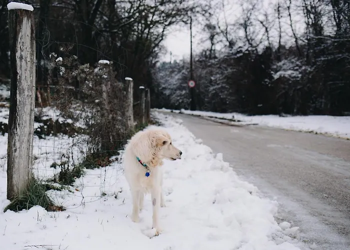 Tatil Evi Belsooers - Haz Lelekkel Felsőörs