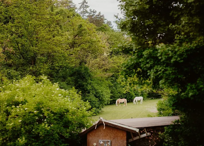 Belsooers - Haz Lelekkel Tatil Evi Felsőörs